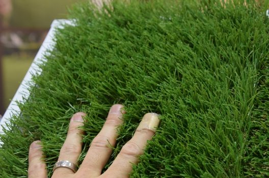 庭に芝生を張るなら 天然芝と人工芝の比較 手入れ年間スケジュール 芝生手入れ 芝張り 2 500円 平米 調査無料 芝張り110番